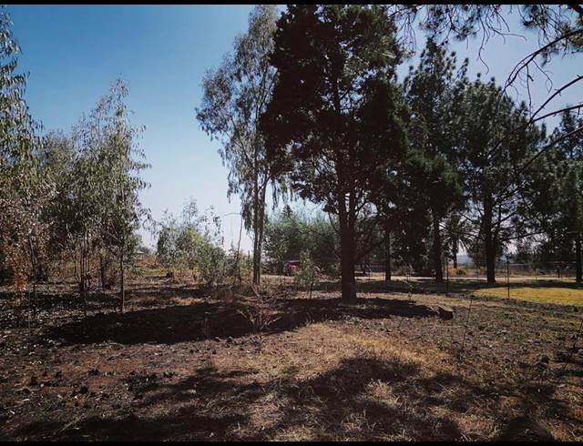 LAND FOR SALE IN WALKERVILLE CENTRAL